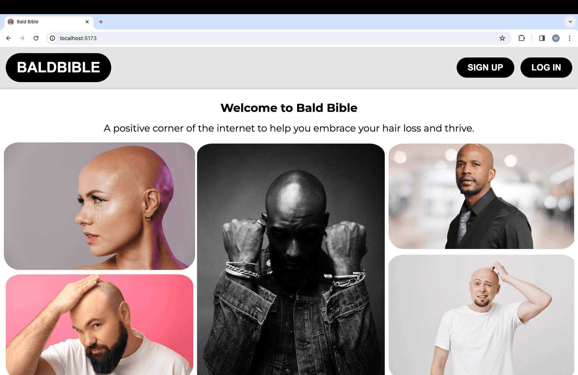 Screenshot of Bald Bible Home Page