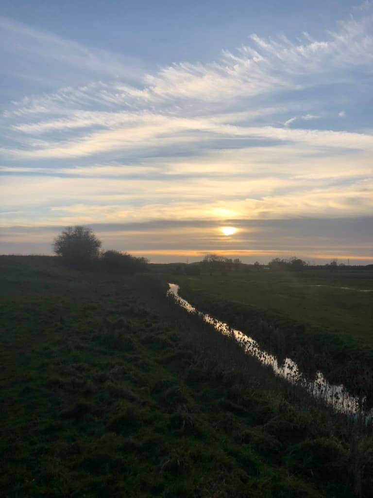 Water Meadow while walking Jet